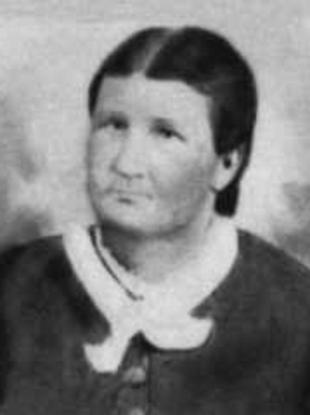 Lucinda Hill (1832 - 1890) Profile